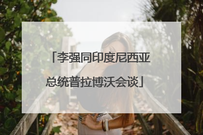 李强同印度尼西亚总统普拉博沃会谈